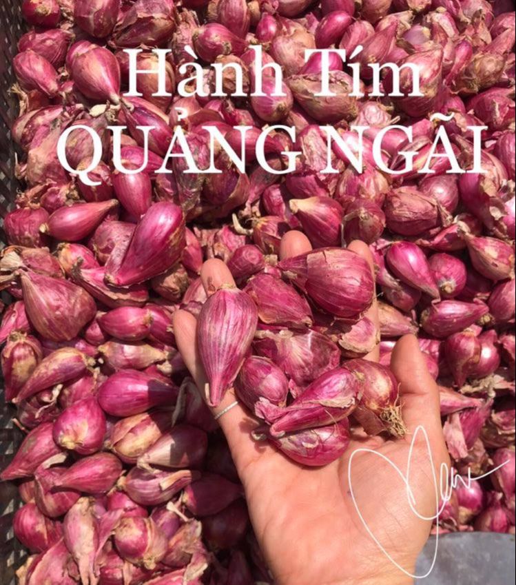 Hành Tím Bình Sơn Quảng Ngãi Loại 1 - 1Kg