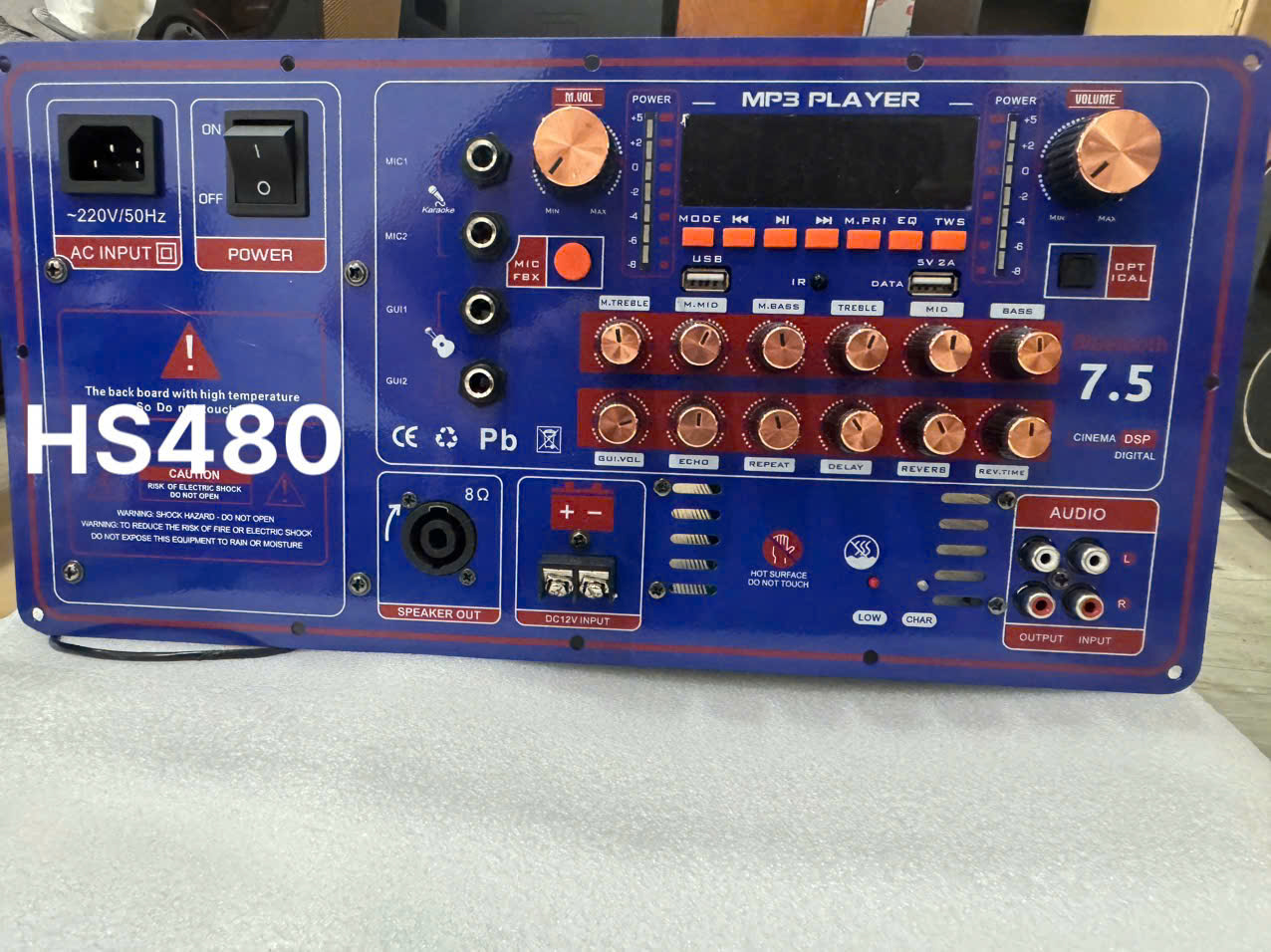 Mạch loa kéo HS480 300w Reverb