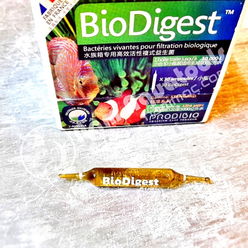[Chính hãng] BIO DIGEST - Vi Sinh Sống Cao Cấp Giành Cho Bể Cá-Tép Cảnh Bể Thuỷ Sinh