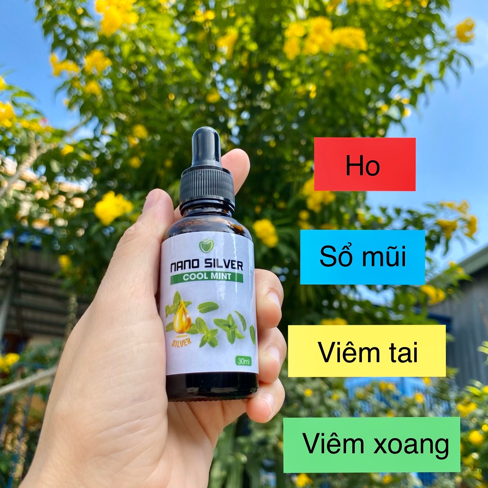 Keo Bạc Sát Khuẩn Tai Mũi Họng Nano Silver Cool Mint 30Ml