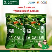 Trà giải độc gan Túi lọc Cà gai leo hỗ trợ Thải độc mát gan tăng cường chức năng Gan