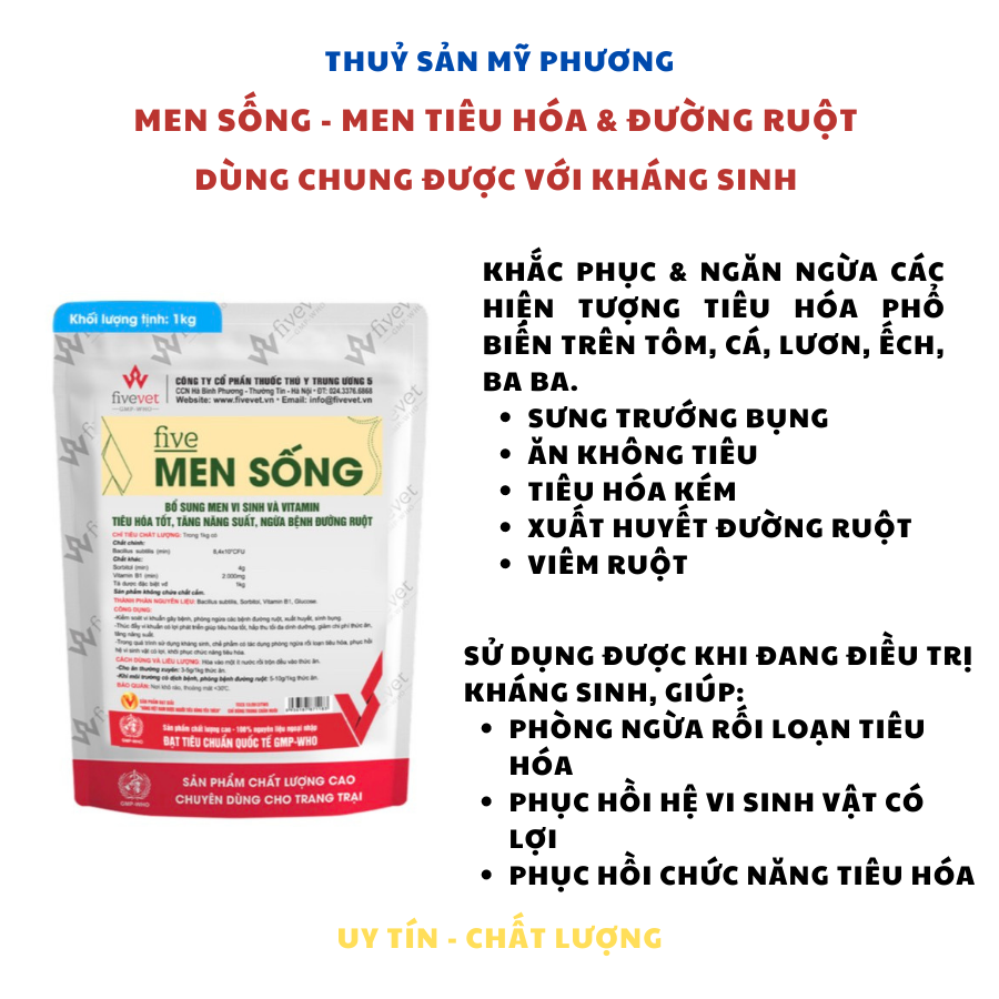 Thuôc Nuôi Cá Ếch Lươn Ba Ba Men Tiêu Hoá Cho Lươn Ếch Tôm Cá Men Tiêu Hóa Thuôc Đường Ruột Cho Ếch 
