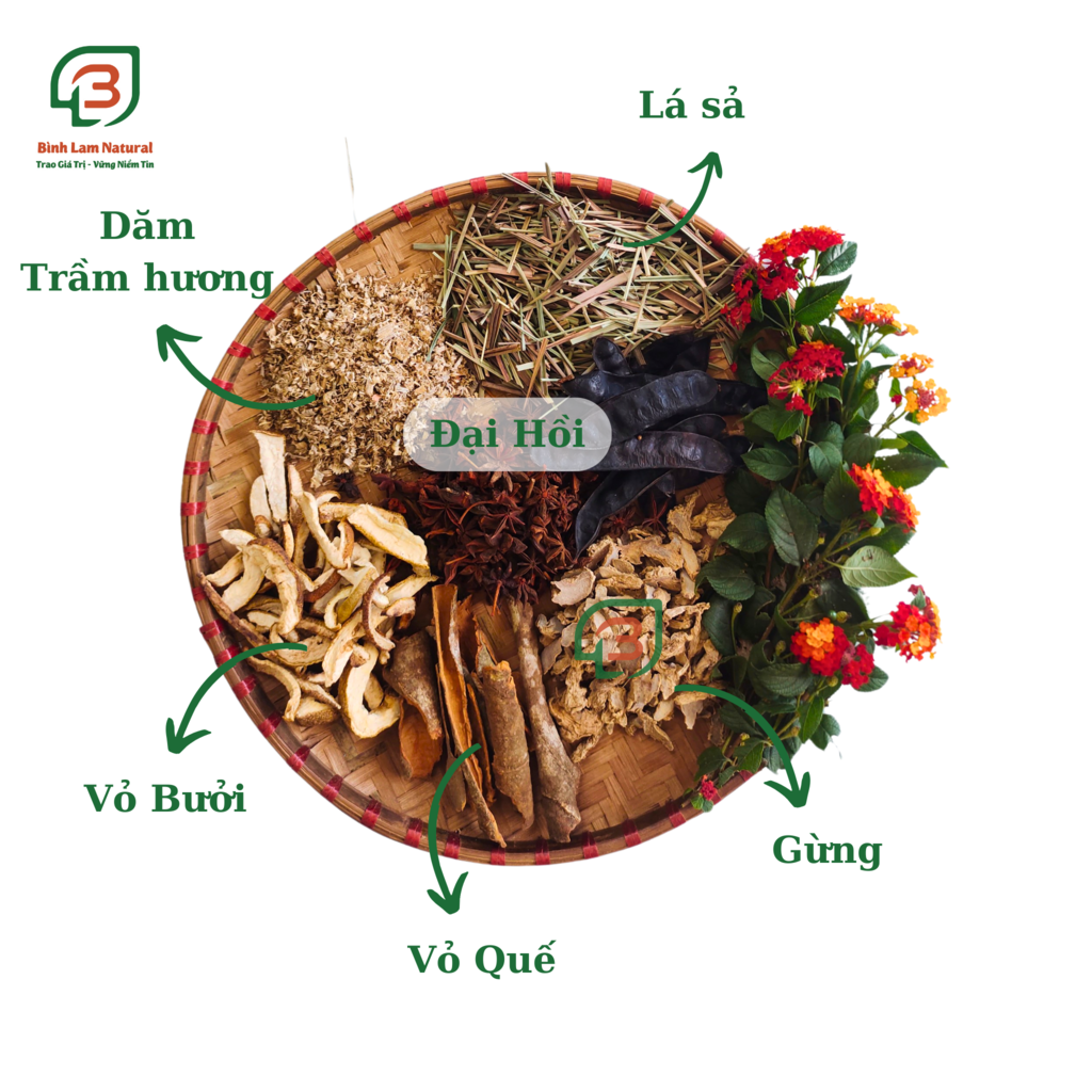 Bếp Xông Thảo Mộc Bếp Xông Bồ Kết nắp rời Gốm Chăm thủ công decor xinh xắn siêu bền chịu nhiệt giá sỉ tại lò Bình Lam Natural - Nhiều size [Bảo hành bể vỡ]