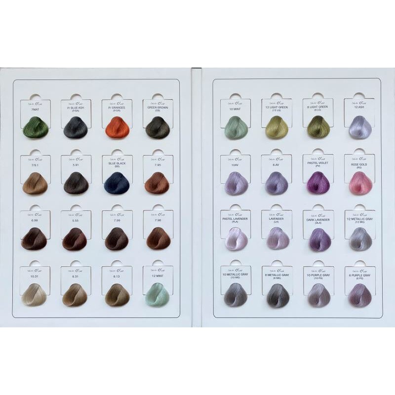 [HÀNG CHUẨN] Màu nhuộm Color Art Olap - Màu thời trang thế hệ mới.