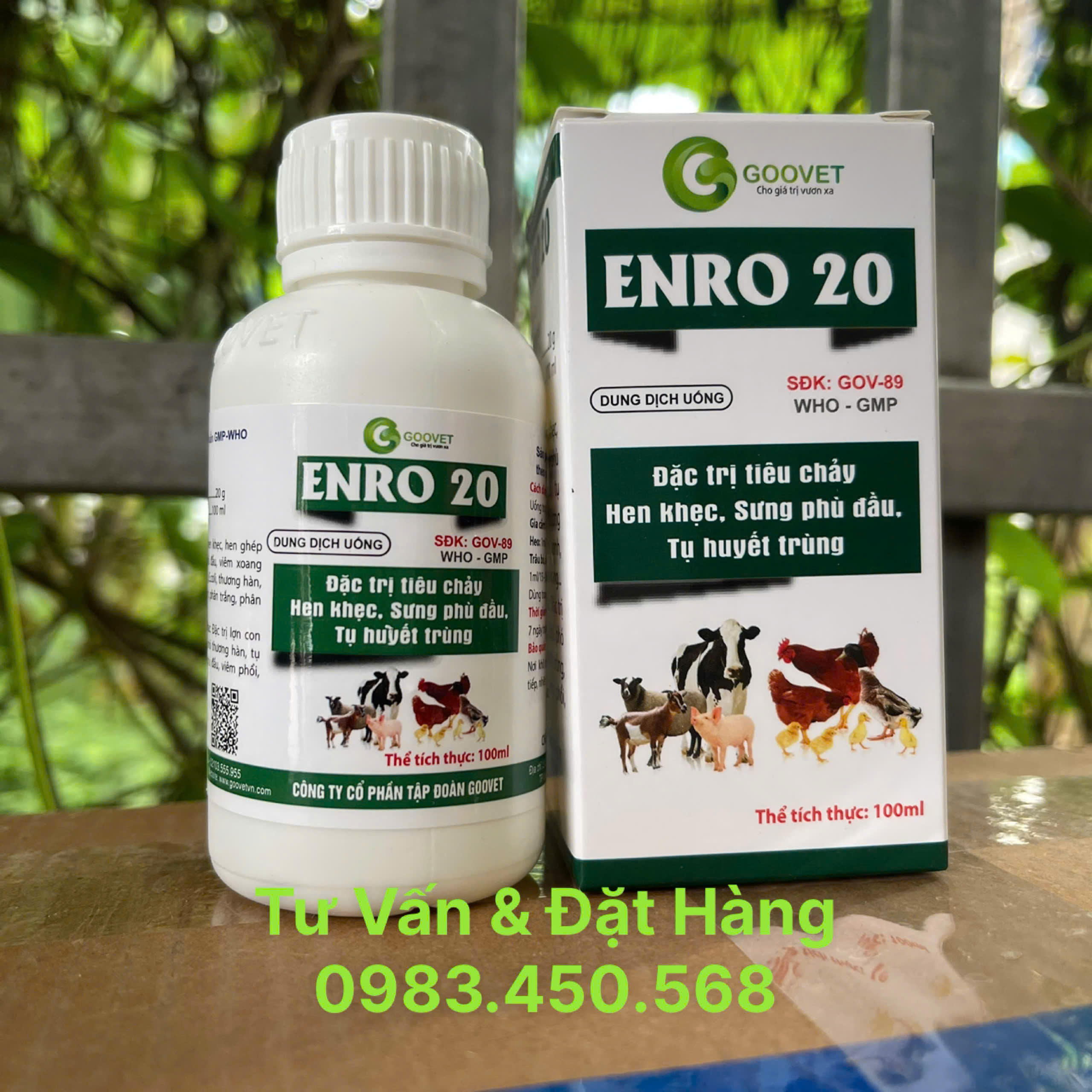 Tiêu chảy hen khẹc ENRO 20 chai 100ml Goovet Sưng phù đầu tụ huyết trùng cho gia cầm heo trâu bò dê 