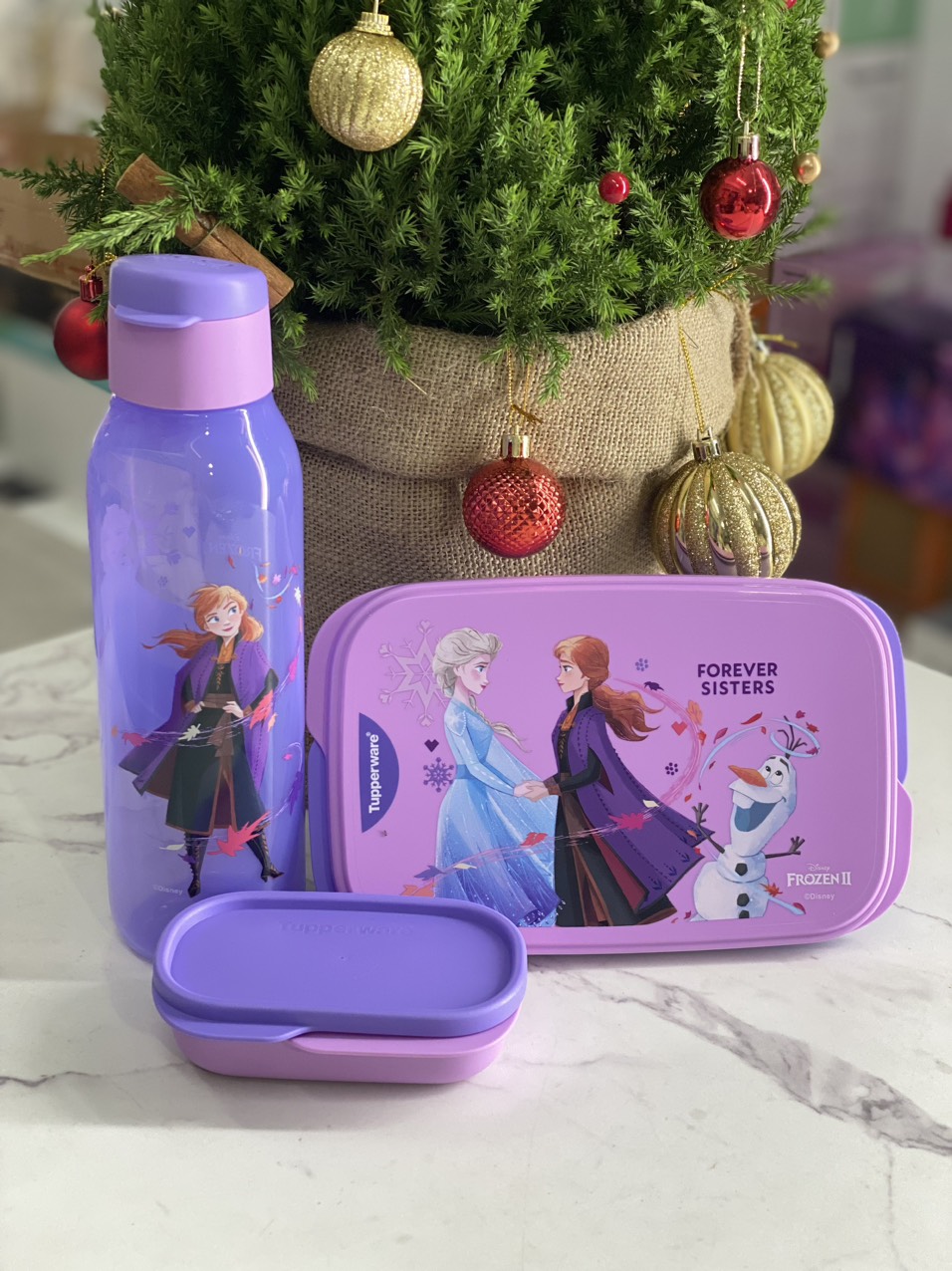Bộ hộp cơm 590 ml và bình nước 750ml hoạ tiết Elsa Frozen II - Forever Sisters hàng Tupperware Món quà cực chất cho các bé