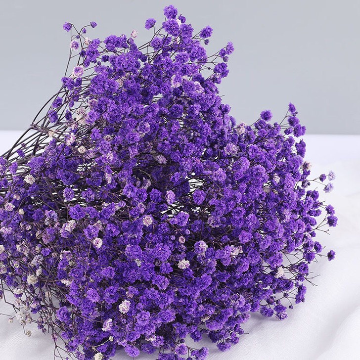 Hoa baby khô bó to 60gr -120gr Gypsophila hoa khô decor trang trí nhà cửa hoa baby khô bó 120 gram h