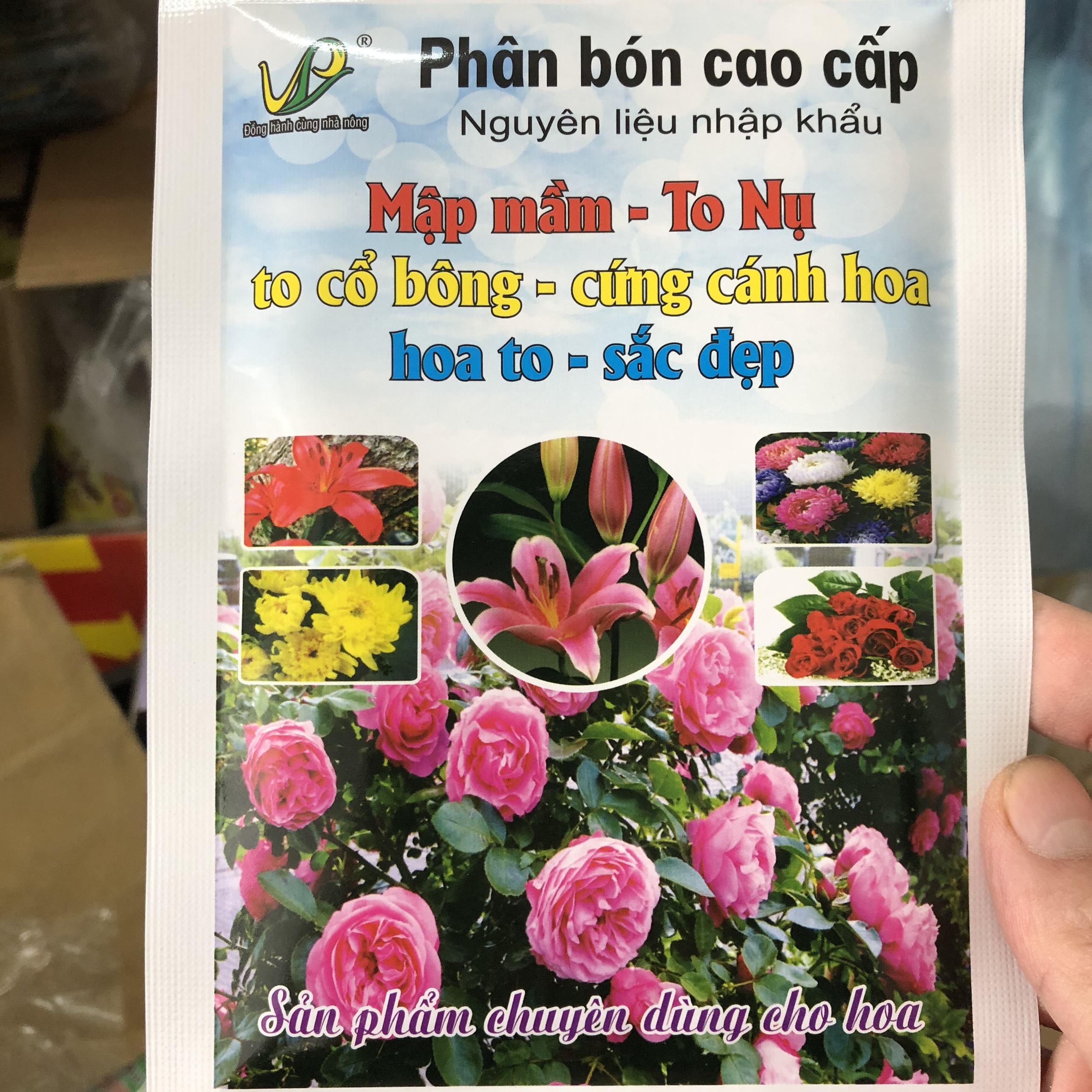 Phân bón chuyên hoa hoa hồng hoa mai cây cảnh