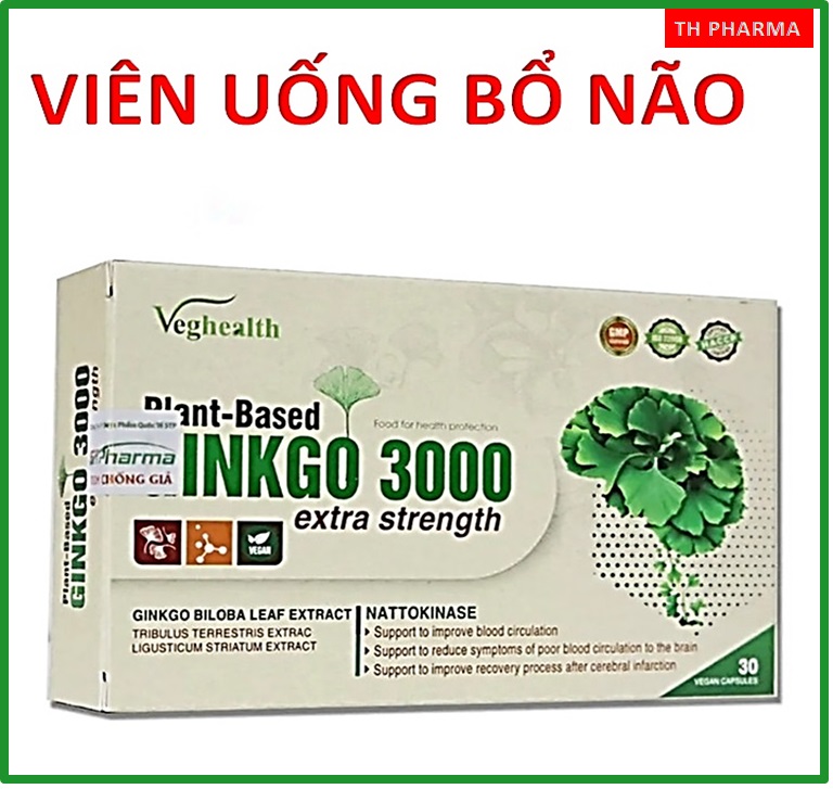 Hoạt huyết dưỡng não Ginkgo 3000  cao bạch quảcao bạch tật lê  xuyên khung giúp  bổ não Tăng cường t