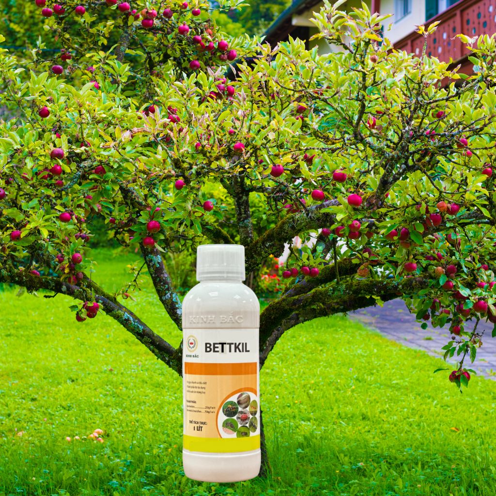 Combo 10 Chai Thuốc Diệt Côn Trùng BESTKILL Trừ Sâu Bọ Rầy Rệp Sâu Ăn Lá Ấu Trùng Trên Lá Và Dưới Đấ