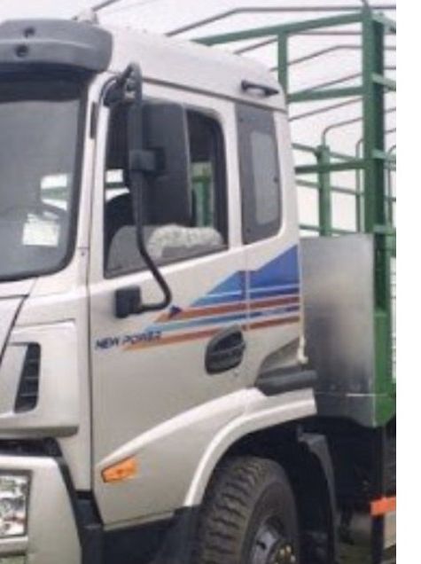 Tem dán xe tải Trường Giang  Tem DongFeng