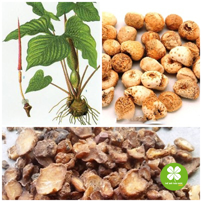 Bán Hạ Nam Khô (Gói 1Kg) - Td278