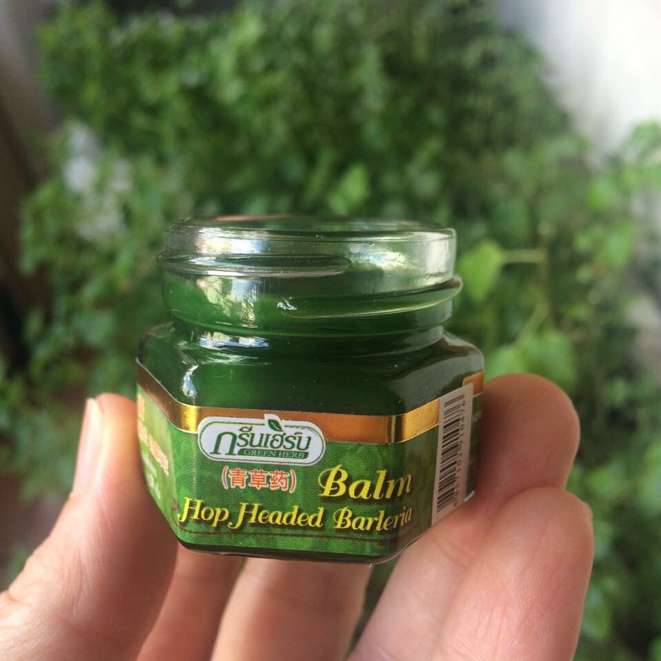 1 Lốc 6 Hủ Dầu Cù Là 20Gr Green Herb Balm Thái Lan 20Gr