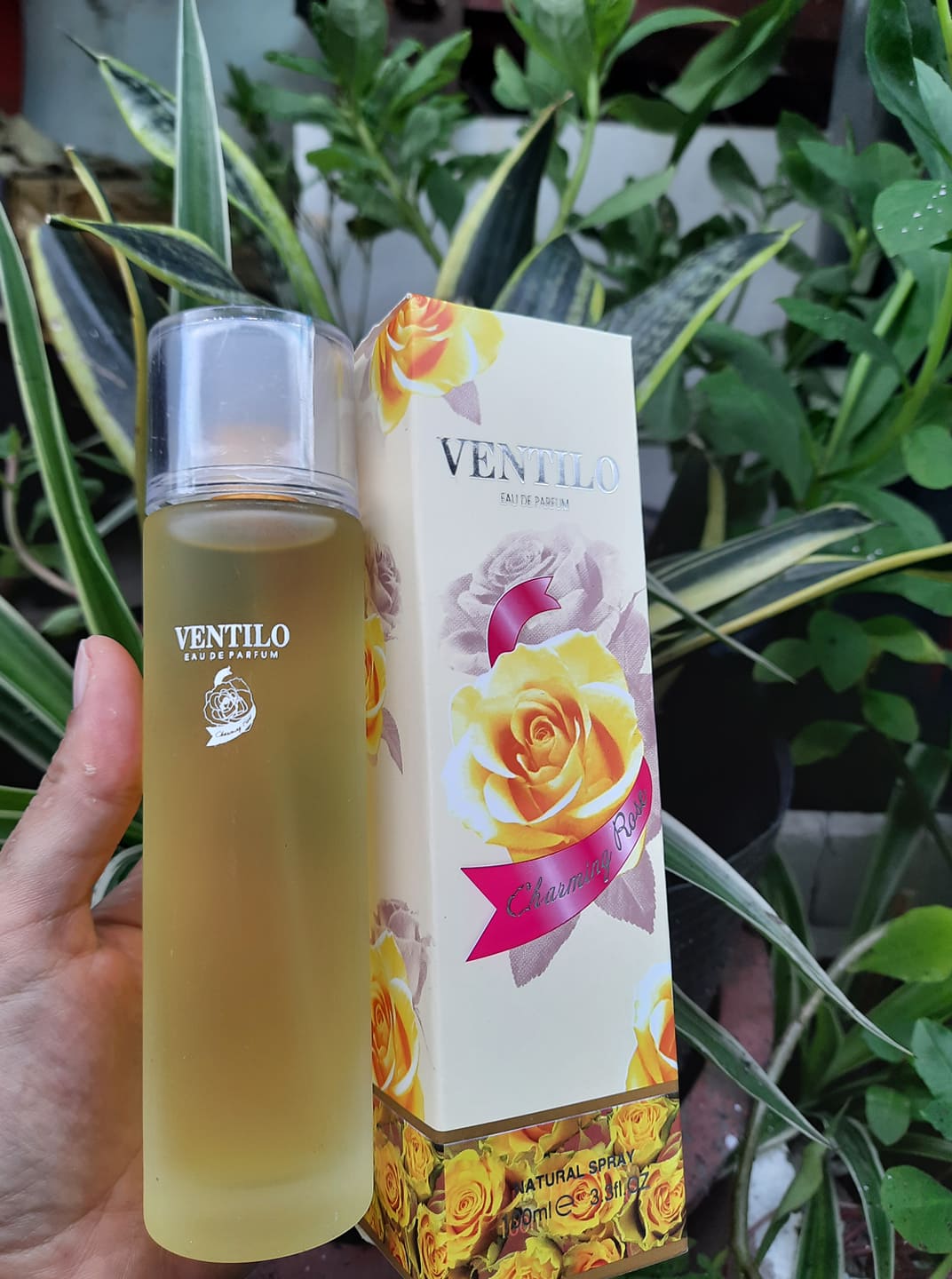 [Hcm][Tặng Kèm Son Siêu Xịn] Nước Hoa Ventilo Charming Rose Hương Hoa 100 Ml