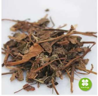 Cây diếp cá khô (Ngư tinh thảo) 1KG - MXT241