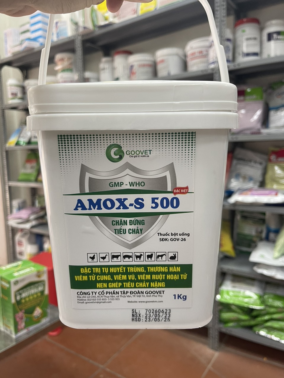 Chặn đứng tiêu chảy AMOX - S 500 Goovet cho vật nuôi. Amoxy dùng trong tụ huyết trùng thương hàn viê