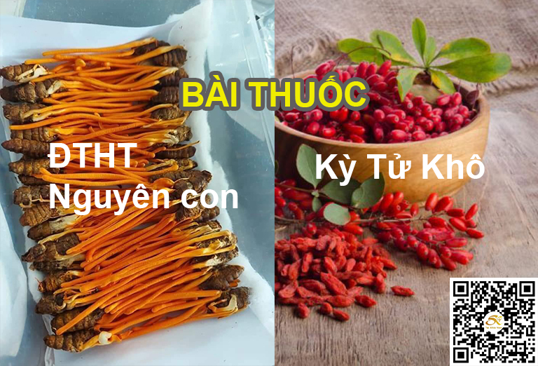 [Hcm]Combo Đông Trùng Hạ Thảo Và Kỷ Tử Khô Hỗ Trợ Sức Khỏe Nam Nữ - Giảm Đau Lưng - Giảm Căng Thẳng - Hỗ Trợ Giấc Ngủ - Hỗ Trợ Nam Sinh