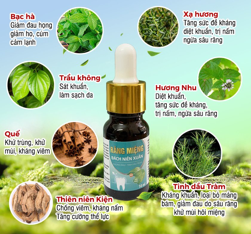 Nước Súc Miệng. Thảo Dược Trị Sâu Răng. Nước Xúc Miệng Hết Sâu Răng Hôi Miệng Nhiệt Miệng Viêm Lợi Viêm Họng