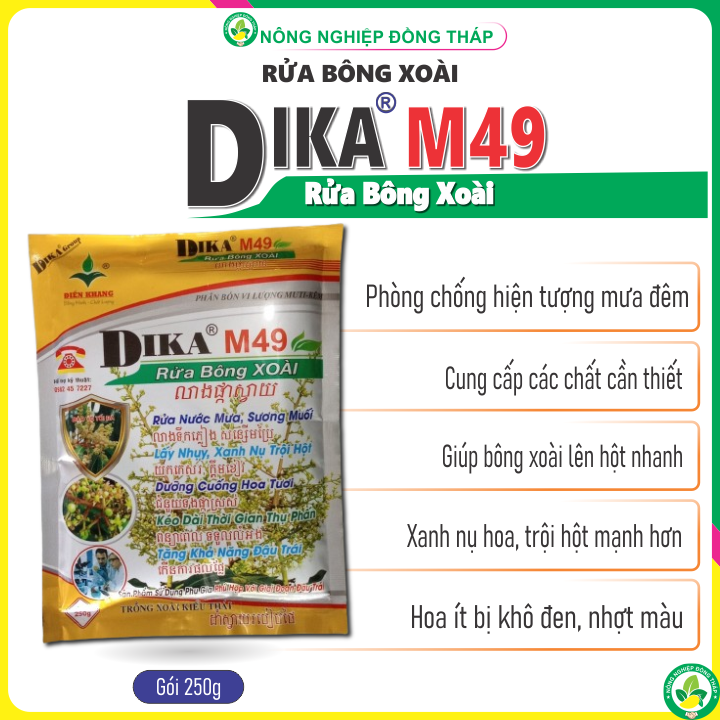 [COMBO 2 GÓI] Rửa bông xoài DIKA M49 gói 250g - Ra hoa đồng loạt