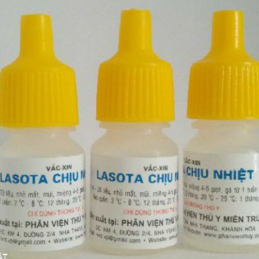 Lasota Vaccin Cho Gà Con Chiệu Nhiệt Lasota Dịch Tả Cho Gà Con Lasota Vaccin Cho Chim Cút