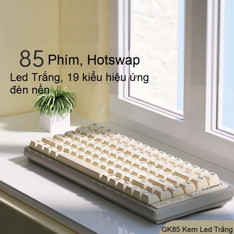 Bàn Phím Cơ HOTSWAP Langtu GK65 GK85 GK102 Led Rain Bow Custom Golden Switch. Bản Không Dây 3 Chế Độ