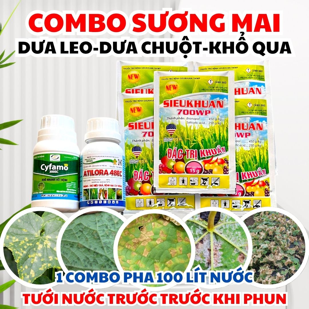 Combo kiểm soát sương mai cháy lá đốm lá dưa leo – Cyfamo 300SC + Atilora 48EC + SieuKhuan 700WP – P