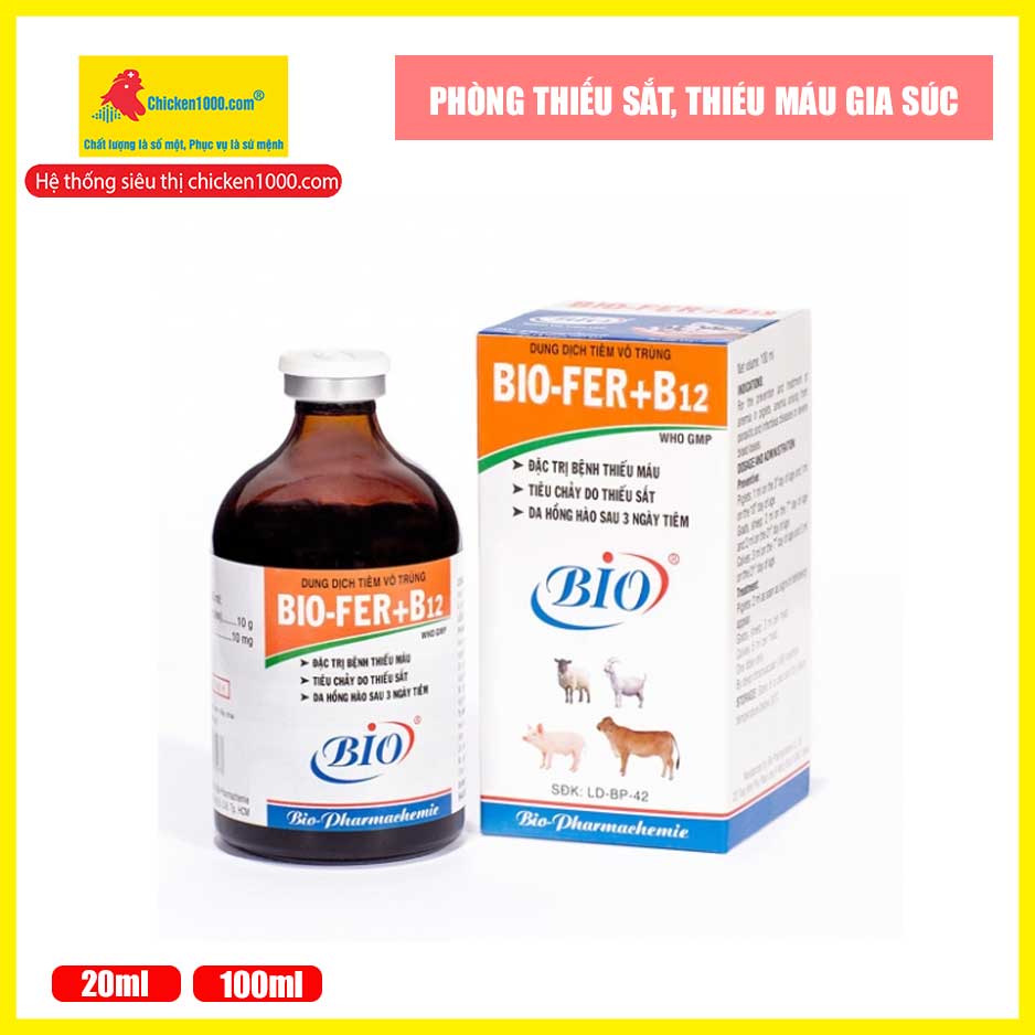 Thuốc Thú Y Fer + B12 10% Bio Trị Tiêu Chảy Do Thiếu Sắt Trên Heo Bò Dê Cừu