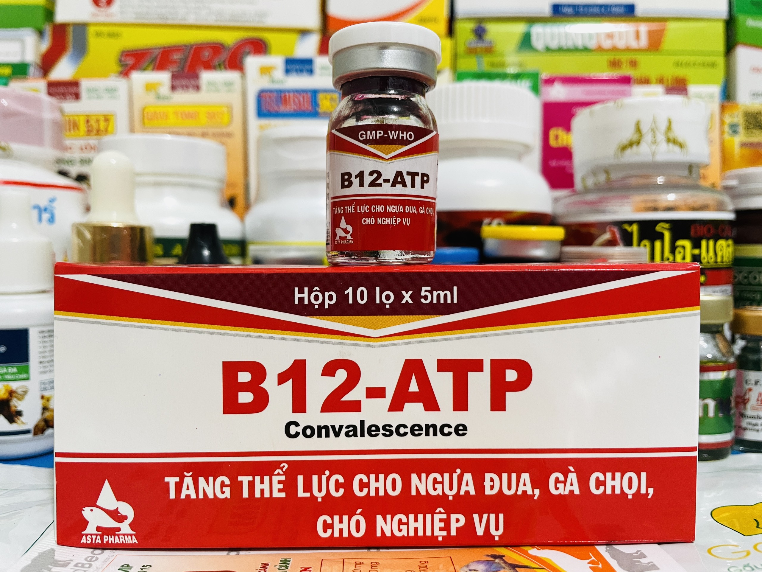 B12-ATP - LỌ 5ML - Cung Cấp B12 Tăng Lực Cho GÀ