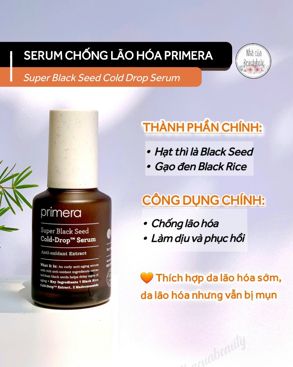 [Hcm][Nhacuabeautyholic] Tinh Chất Chống Lão Hoá Primera Cold Drop Serum Super Black Seed Fullsize 50Ml
