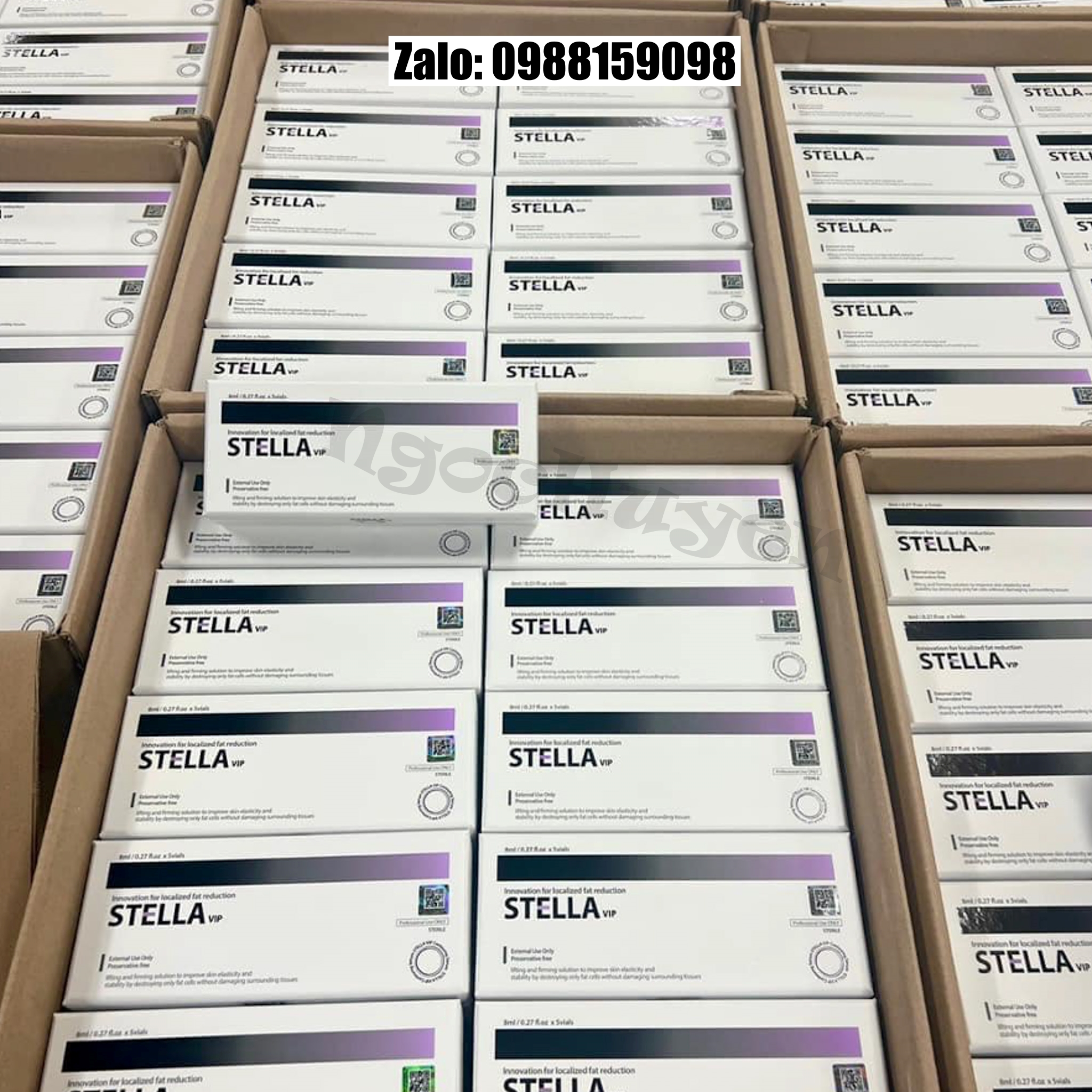 Tan mỡ Giảm béo Stella bản mới - 1 hộp 5 lọ