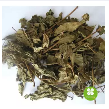 Cây mã đề khô (gói 1kg) - OLF079
