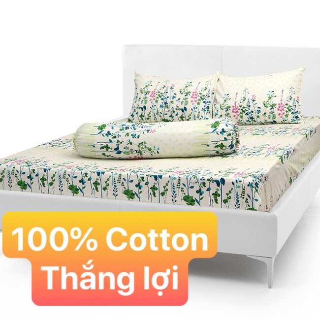 Bộ Drap Cotton THẮNG LỢI 4 món { chuẫn logo}hoặc drap lẻ.