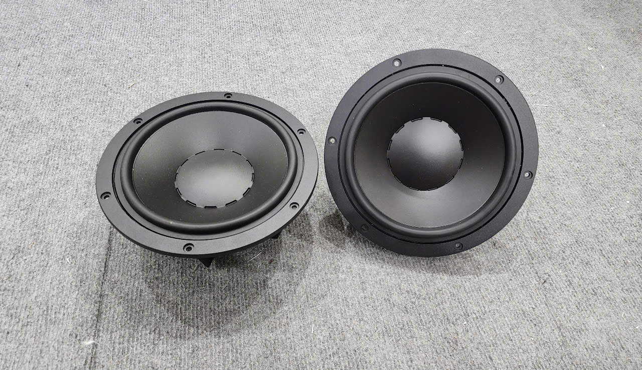 Củ Loa Bass 20 Arouse AB20TN Coil75 Chất Âm Cực Hay