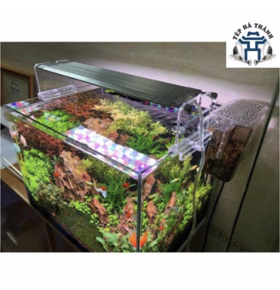 [Hoàn Tiền 10%] Đèn LED WEEK RAPTOR WRGB V600