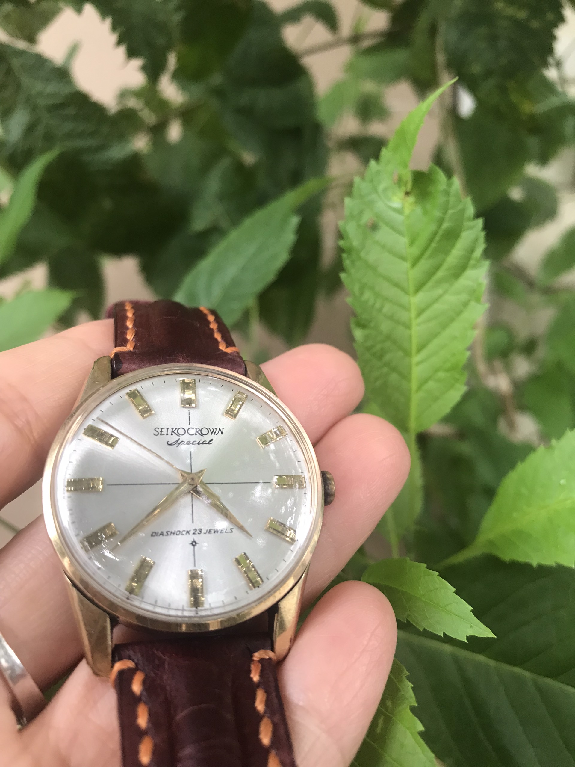 [HCM]Đồng hồ SEIKO CROWN bọc vàng 80mc của Nhật