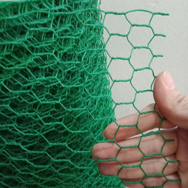 Lưới Mắt Cáo Lưới Rào Sắt Bọc Nhựa Loại Khổ Rộng 1m Rào Vườn Chống Chuột Làm Chuồng Chim... Giá Rẻ N