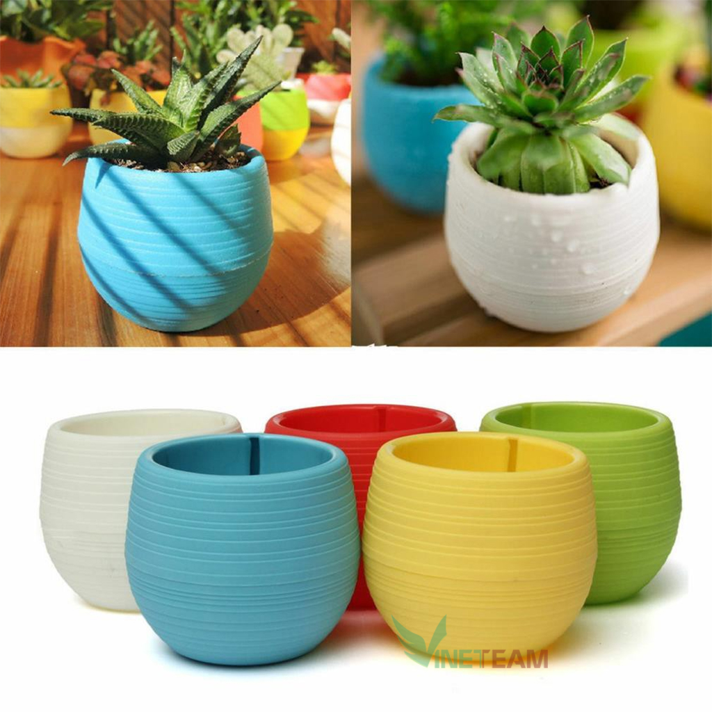 chậu trồng cây mini cute thông minh để bàn dễ thương trang trí văn phòng nhà cửa giá rẻ chất liệu nh