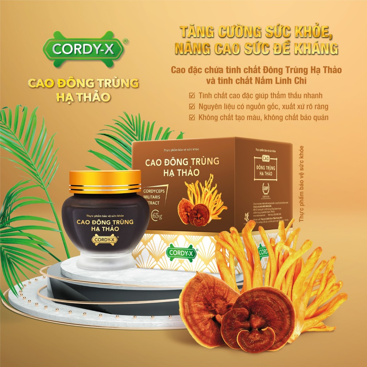 [Hcm]Cao Đông Trùng Hạ Thảo Cordy - X (65G)