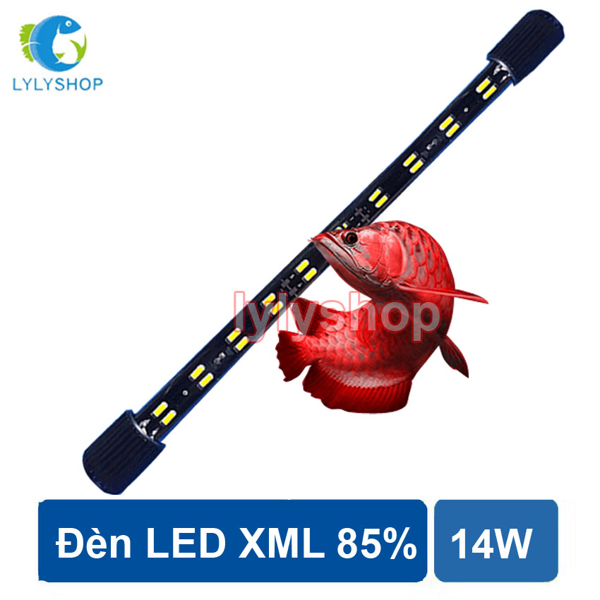 Đèn LED XML 85%  cho hồ bể cá rồng 80cm - 1m dài 80cm 2 hàng ánh sáng vàng