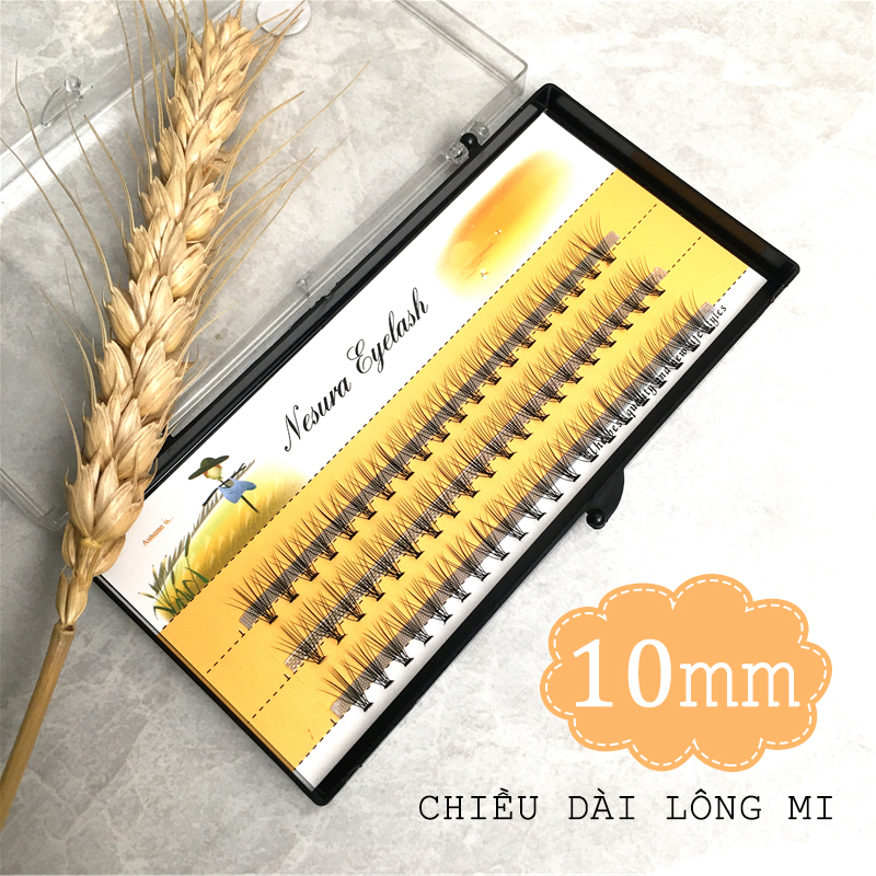 [HCM][5 KÍCH THƯỚC] Lông mi giả Nesura sợi siêu mỏng siêu cong Cao Cấp