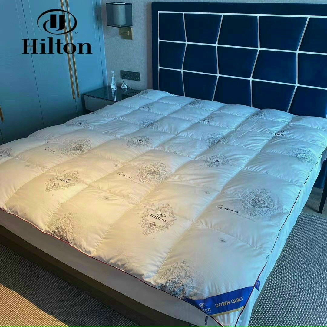 Ruột Chăn Lông Vũ Hilton Hoa Văn Ruột Chăn Hilton Lông Vũ Siêu Nhẹ  Kích Thước 1m9x2m1