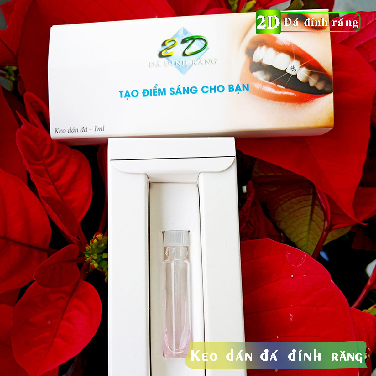 [HCM]Keo dán đá tại nhà bền và chắc (dùng cho dán răng mũi mắt tai)
