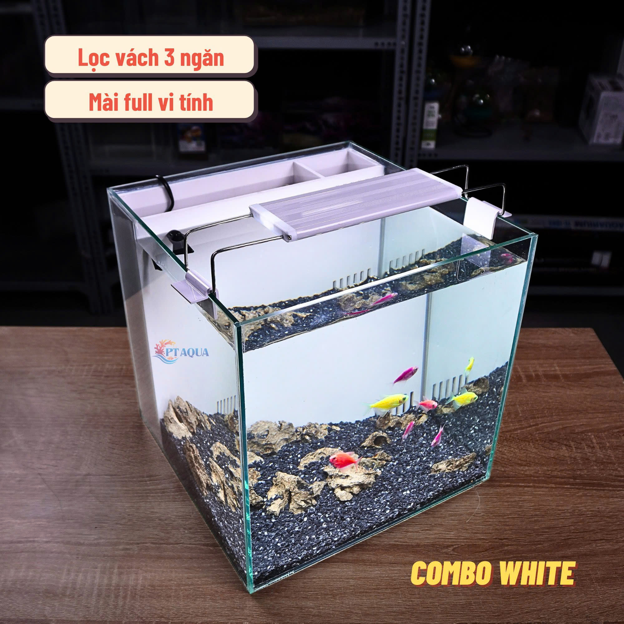 Bể Cá Mini Lọc Vách CUBIC 30 Để Bàn Đầy Đủ Phụ Kiện Có Sẵn Bơm và Vật Liệu Lọc