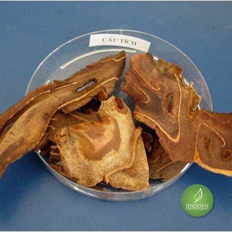 1KG Cẩu tích (Lông cu li) - EG242 cautich