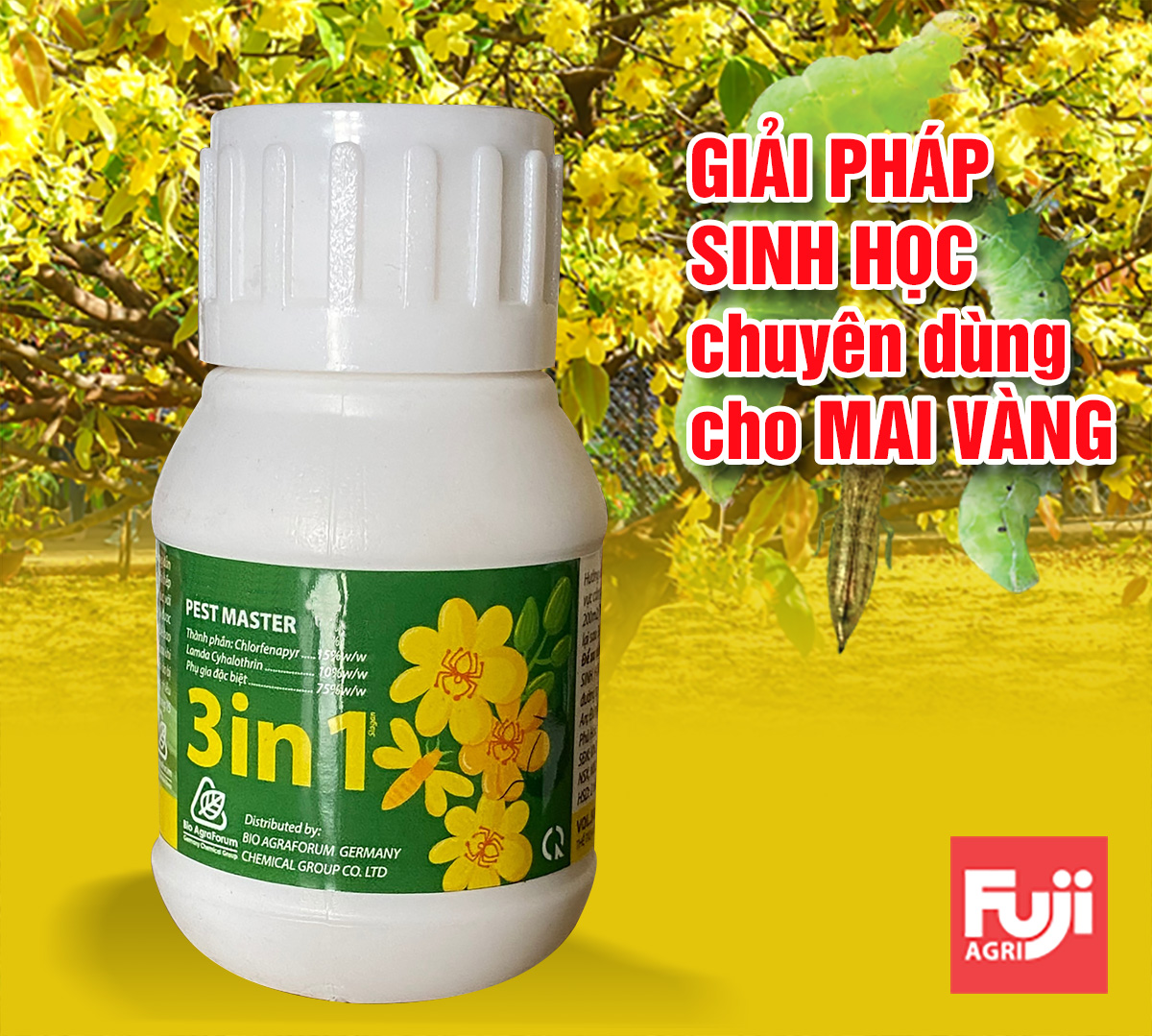 Thuốc trừ bọ trĩ  nhện đỏ sâu lá trên Mai Vàng Pest Master 3in1 50ml