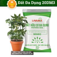 [Giao 2H] Đất Hữu Cơ Đa Dụng Potting Soil Lavamix Gói 20dm3 ( tương đương 10-12kg ) Chuyên Trồng Rau Sạch Hoa Cây Kiểng