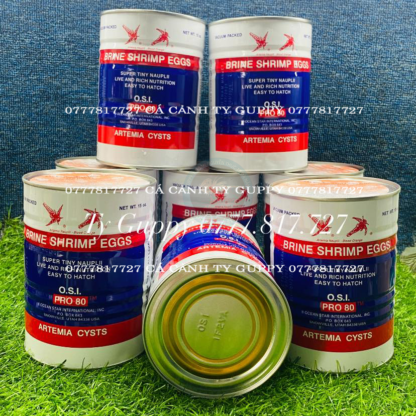 Trứng Artemia Mỹ OSI Loại 1 (Đáy Đỏ)  - Trứng Artemia Mỹ OSI ( Đáy Vàng) - Hàng Chính Hãng Chất Lượn