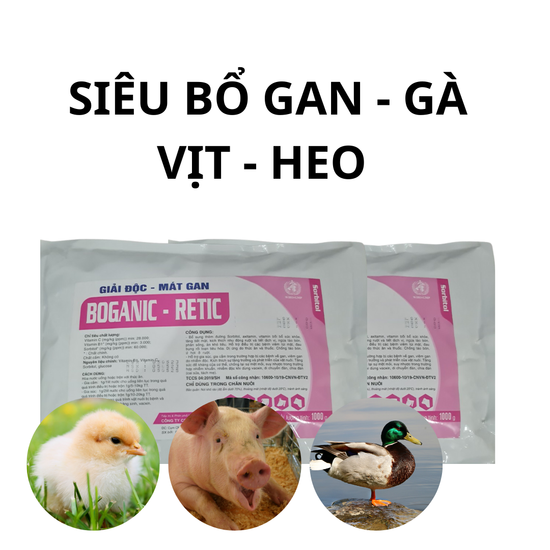 boganic siêu bổ gan gà vịt  thức ăn bổ sung chăn nuôi dùng cho heo  gà vịt  cá tôm  tăng cường sức đ