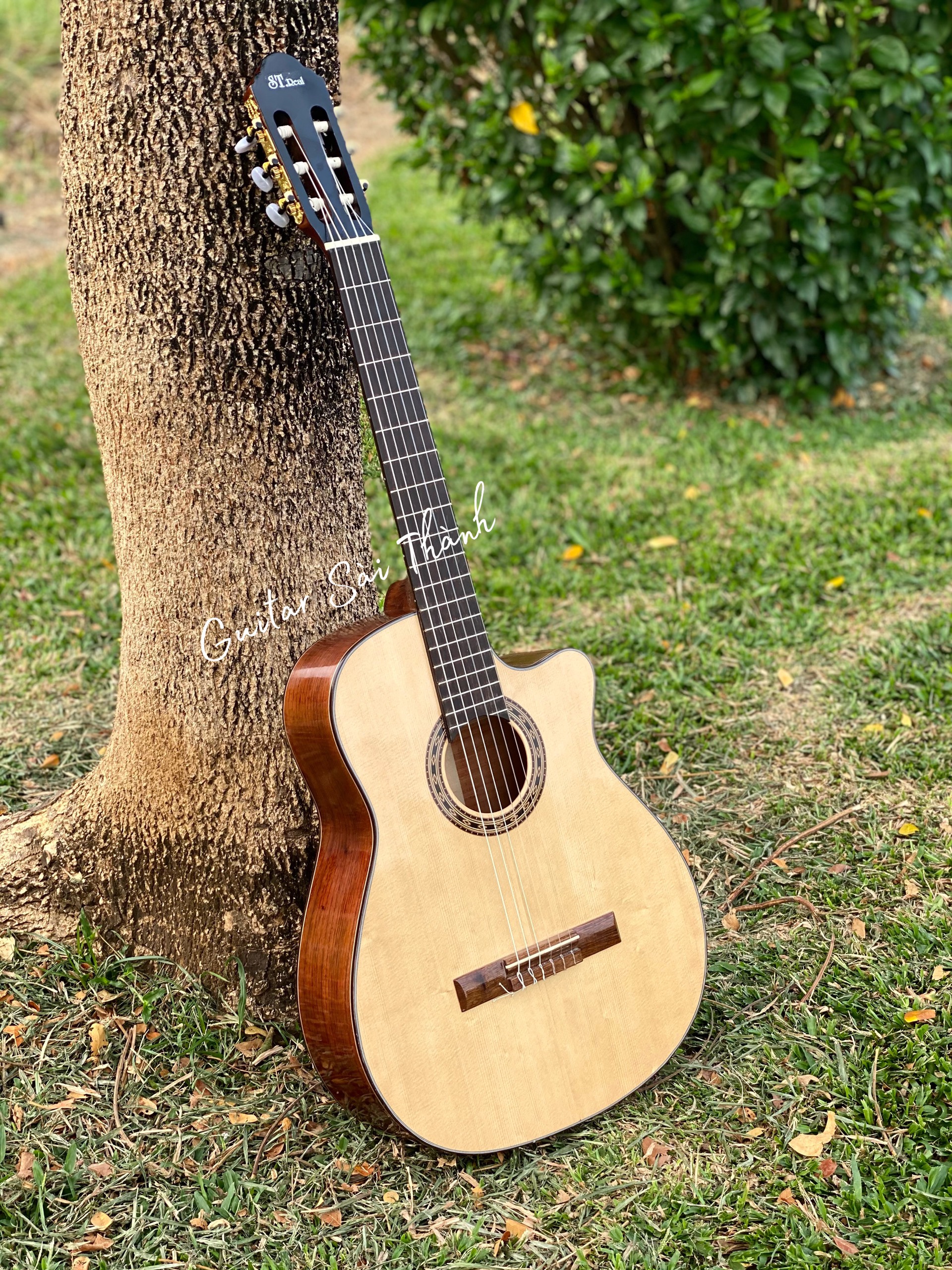 (Miễn Phí Ship) Đàn Guitar Classic ST-C4 gỗ điệp có kè lưng gỗ còng cườm tặng Full box phụ kiện