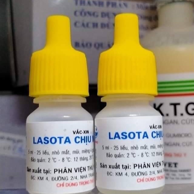 [ Hàng Chính Hãng] LASOTA chịu nhiệt  lọ 25 liều